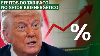 Tarifa de 50% dos EUA: o que muda para o setor bioenergético brasileiro?
