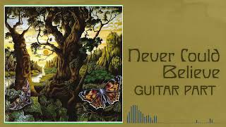 The Damned - Never Could Believe (Guitar Part)