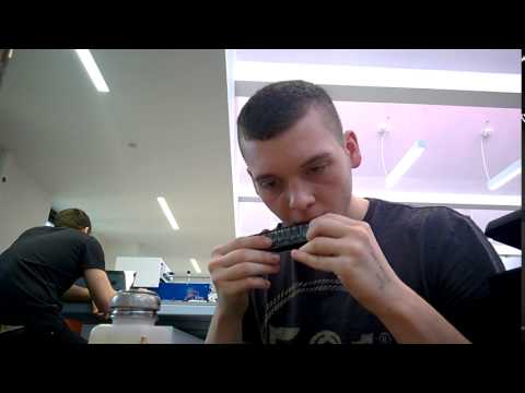 3D printed Chromatic Harmonica (Test)