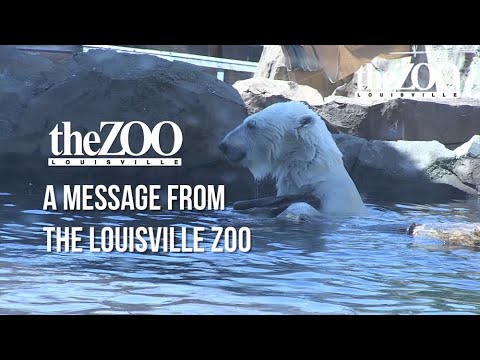 A Message From The Louisville Zoo (March 27, 2020)
