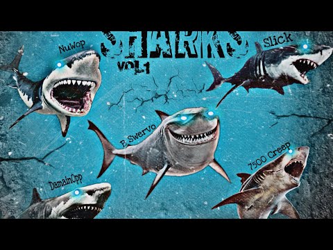 DaMainOpp X 7500Creep X B Swervø - Shark boys