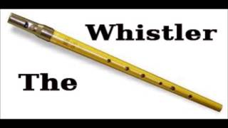 Little Boxes (Malvina Reynolds) - Tin Whistle Cover