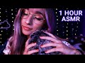 ASMR | 1 HOUR of Relaxing Fluffy Mic Brushing Sounds 💤 (For Sleep, Work, Study, etc.) (Pink Noise)