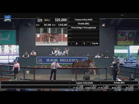 2021 Gold Coast National Weanling Sale - Day 1