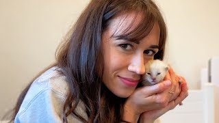 Colleen Wants To Adopt My Foster Kittens?!