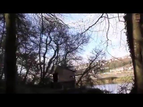 Deleuze for the Desperate #2 Rhizome