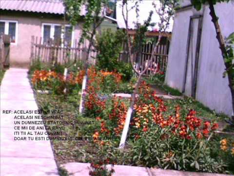 Fam. Muresan  "VORBIM AZI  MULT"