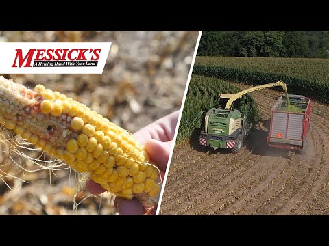 Ride Along in a Krone Big-X Forage Harvester with Fahnestock Family Farms
