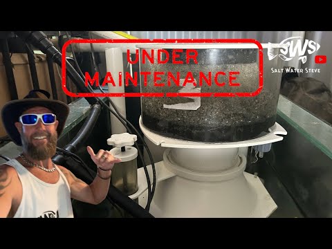 A week of 40c WEATHER Sump MAINTENANCE + More BAD news 🥲 SWS 🤙🏽