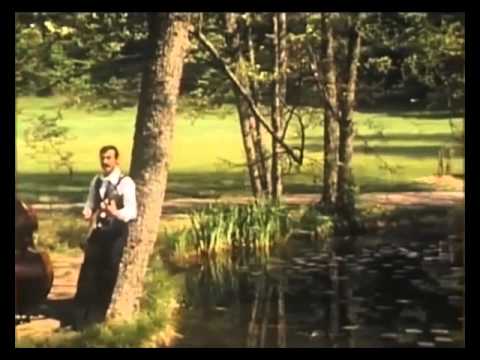 Ansambel Franca Flereta - Rdeči nageljni