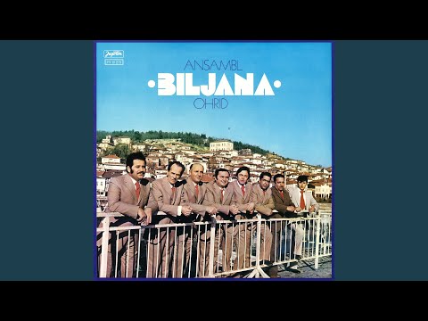 Golema Riđa Ti Činam