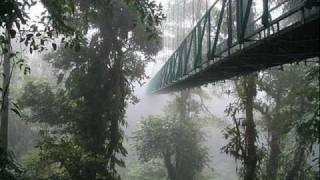 preview picture of video 'CRS Tours Costa Rica - Hanging bridges of Monteverde'