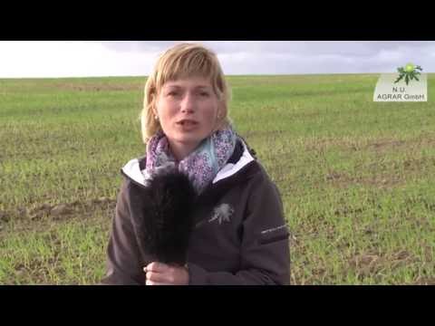 53. Feldexkursion: Getreideaussaat und Unkrautbekämpfung - NU Agrar, 05.10.2016