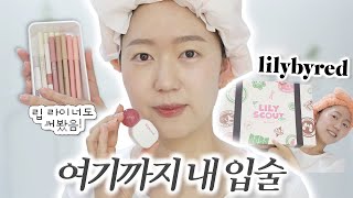 스카우트 너무 귀여운데 색도 예쁘잖아!! 잼메는 기세다!!!! 릴리바이레드 슈가 랩핑 틴트 글로스