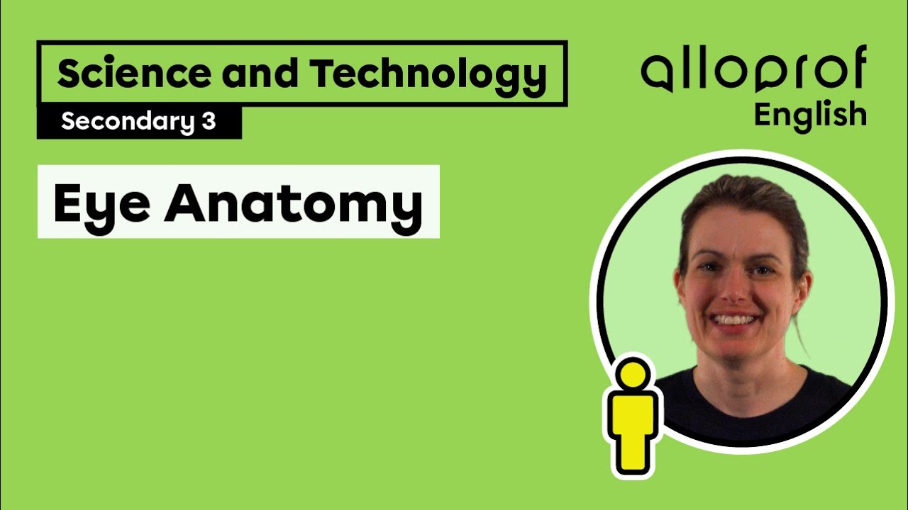 Eye Anatomy