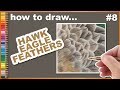 Feathers - How to draw - Hawk Eagle - #8 Fur Friday