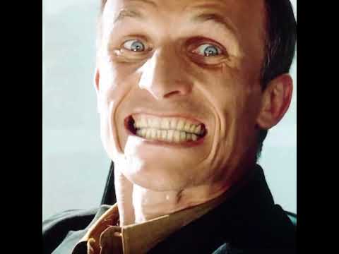 “Ils parient 10€… et finissent au bord du précipice 😳🚗”#foryou #shorts #animal