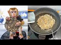 Taste the Love: Monkey Kaka and Monkey Mit's Favorite Fried Coconut Cakes