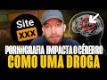 COMO A PORNOGRAFIA AFETA O SEU CÉREBRO