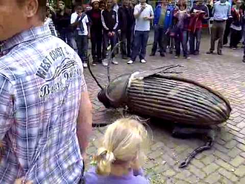 Rellen supporters van Feyenoord Rotterdam