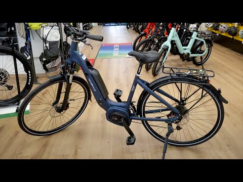 E-Bike 2022 Velo De Ville AEB 900 Tiefeinsteiger Trekking Bosch Performance Line CX Review