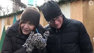 'Fairytale of New York': We asked Americans to listen to the UK's favourite Christmas song