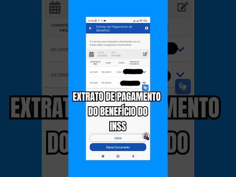 Vídeo: Extrato INSS empresa: perguntas e respostas