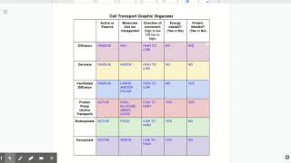 Cell Transport Graphic Organizer Honors KEY