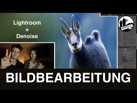 Tipps für deine Bildbearbeitung - Workflow: Topaz Denoise & Adobe Lightroom