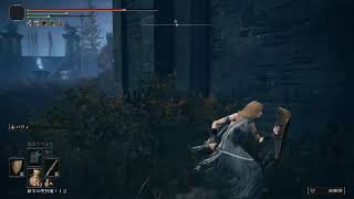 【PS5】エルデンリング DLC 実況なし #5