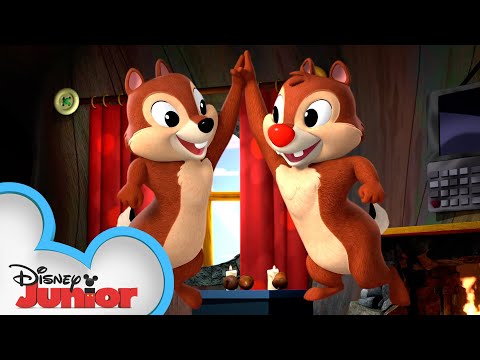Shake Your Tails!| コンピレーション｜チップ＆デールとシェイク・ユア・テイルズ!| ディズニー・ジュニア (Shake Your Tails! | Compilation | Shake Your Tail with Chip ‘n Dale! | @Disney Junior)
