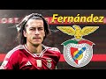 Alvaro Fernandez ● Welcome to Benfica 🔴⚪️🇪🇸 Best Skills, Tackles & Passes