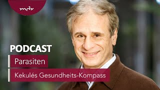 #35: Wir sind nicht allein: Was wollen Parasiten im Menschen? | Podcast Kekulés Gesundheits-Kompass