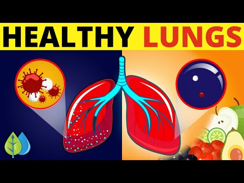 , title : 'Top 12 Foods that Reduce Inflammation in Lungs🔥'