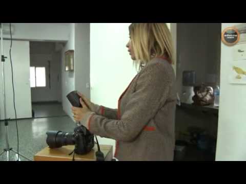 mccann GarrahanPapeles Fulop