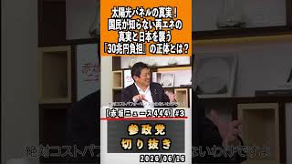 3 30兆円負担の正体とは？#神谷宗幣 #参政党 #参政党は止まらない #ひとりひとりが日本