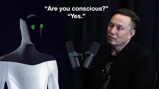 This A I says its conscious and experts are starting to believe it with Elon Musk Video