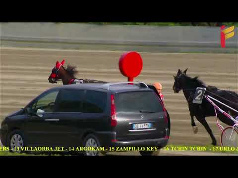 V Corsa del 6 Marzo 2022 - 5 Anni ed oltre Cat. G - Metri 1600