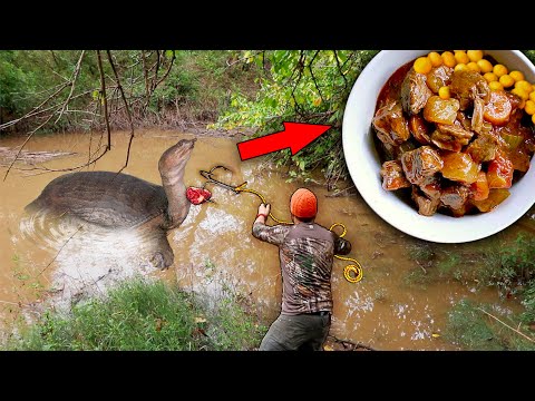 Softshell Turtle Catch, Clean, & Cook | Turtle Eggs and Meat Soup
