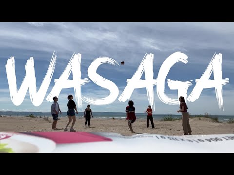 Birthday Beach BBQ | Wasaga Beach Vlog