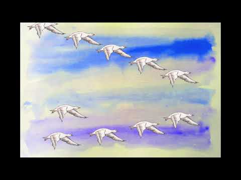 El vuelo de los gansos