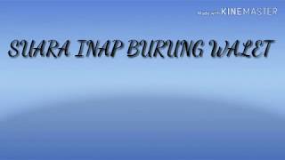 Download lagu SUARA INAP BURUNG WALET  original mp3