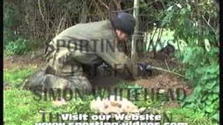 preview picture of video 'Simon Whitehead,  the ferretman ferreting rabbits'