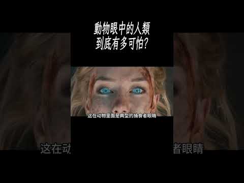 動物眼中的人類到底有多可怕?#科普 #漲知識