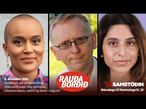 Sósíalismi, gul verkalýðsfélög, stjórnarmyndun, ung stjórnmál, listamannalaun, veðrið og konur í sögunni