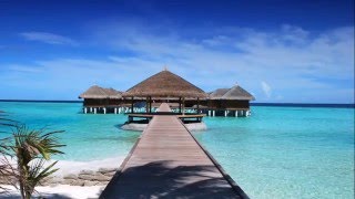 Ambient and relaxing zen music