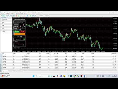 Video Grid Netting and Hedge Accounts