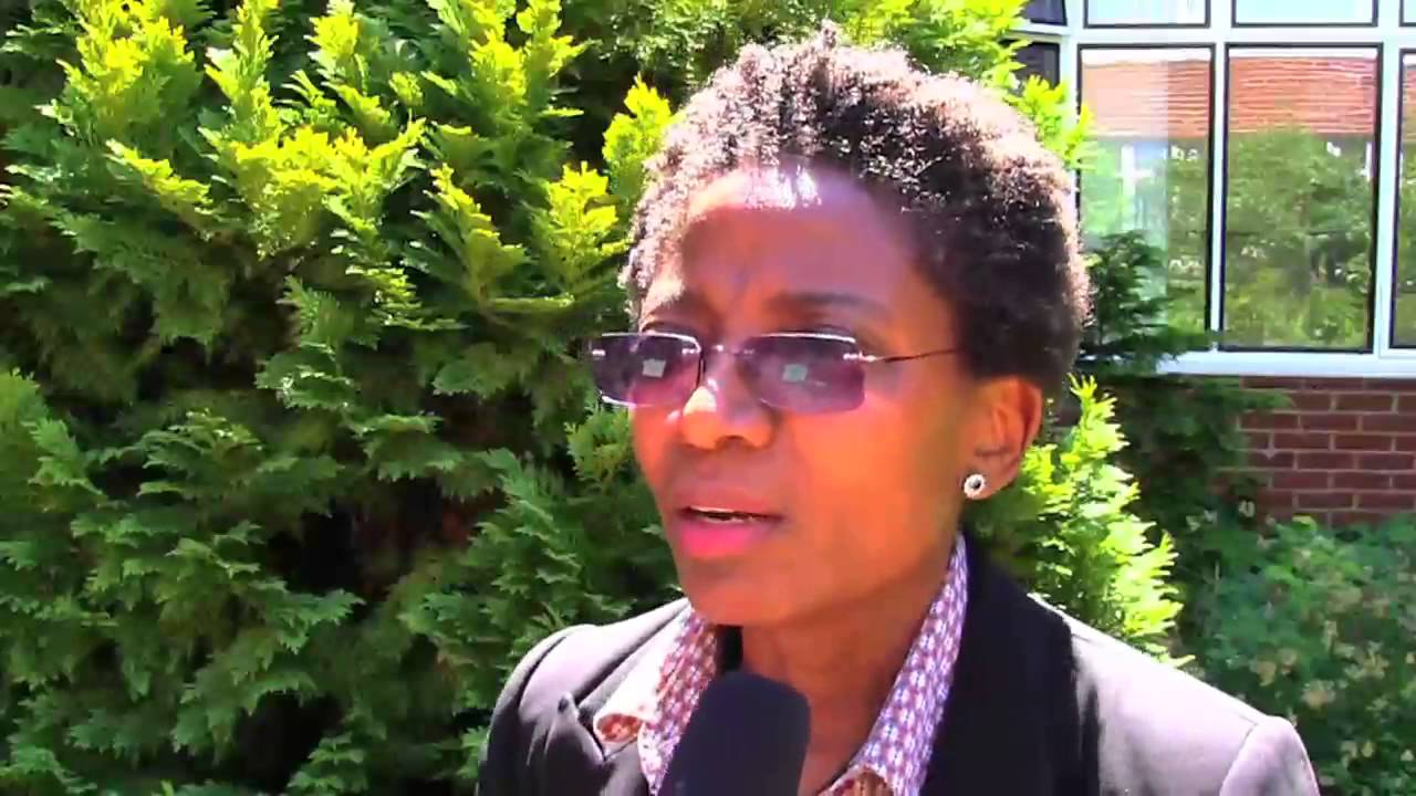 The End of the Mano River War(s) Conference: Participant interviews