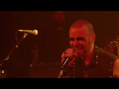 Manimal live in Holland!