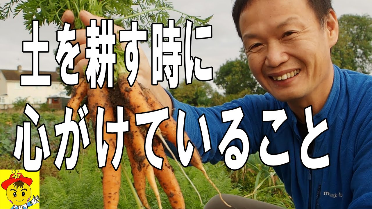 自然栽培の疑問解決!手入れと管理の基本